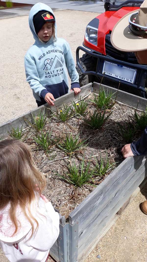 Checking on their crop